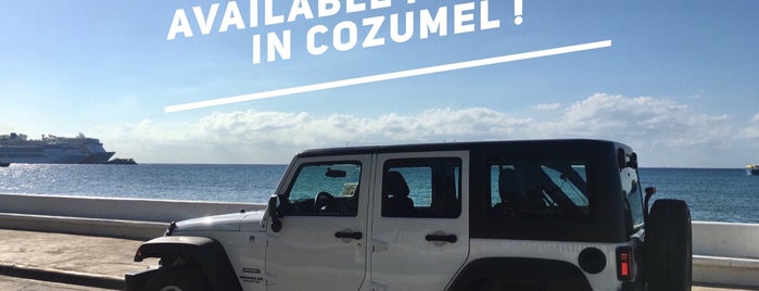 SolyMar Car & Scooter Rental close to Punta Langosta is one of NURSECON AT SEA 🚢 2024 MEXICO 🇲🇽 BAHAMAS 🇧🇸.