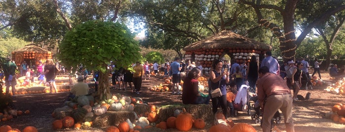 Dallas Arboretum and Botanical Garden is one of Posti che sono piaciuti a IrmaZandl.