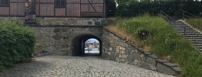 Akershus Festning is one of สถานที่ที่ IrmaZandl ถูกใจ.