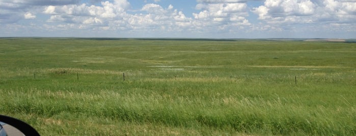 Fort Pierre National Grasslands is one of National Recreation Areas.