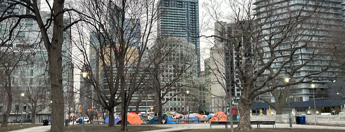 Clarence Square Park is one of Dog Parks in Ontario.