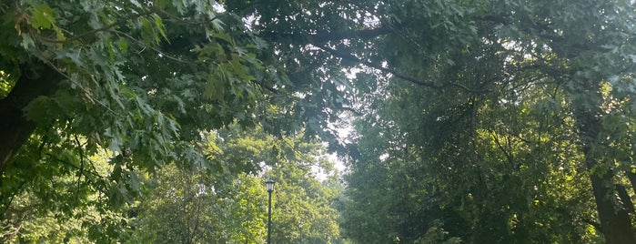Queen's Park is one of สถานที่ที่ Carl ถูกใจ.