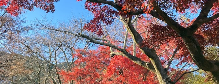 Saikyoji is one of 麒麟がくる ゆかりのスポット.