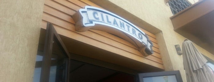 Cilantro Madinty is one of Coffee.