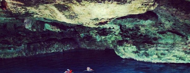 Cenote Dos Ojos is one of Let's go SCUBA diving!.