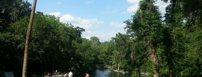Wekiwa Springs State Park is one of Orlando.