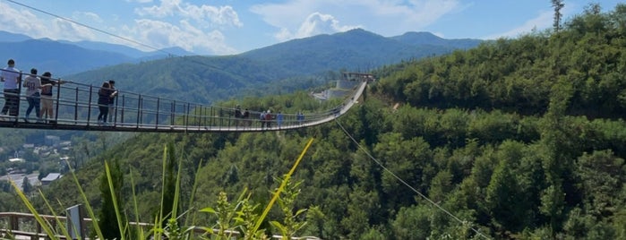 Sky Lift Top Viewpoint is one of Gatlinburg, TN.