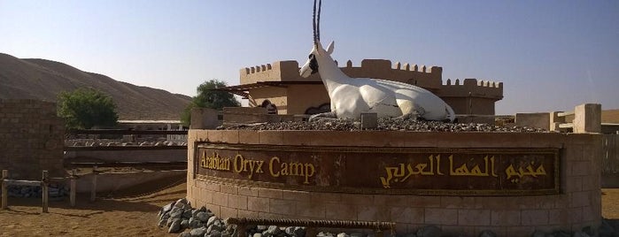 Arabian Oryx Camp is one of Gianluca : понравившиеся места.