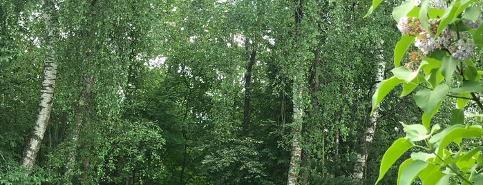 Сказочный лес is one of Отдых.