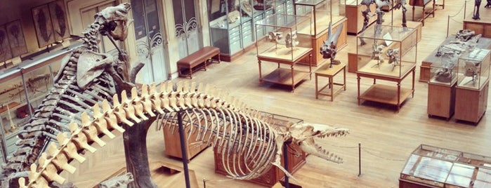 Галерея палеонтологии и сравнительной анатомии is one of France To Do.