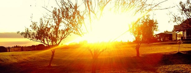 Yonder Way Farm Fayetteville, TX is one of Tempat yang Disukai Marjorie.