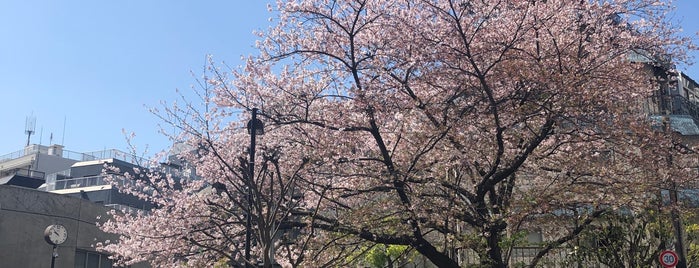 桜丘公園 is one of 公立.