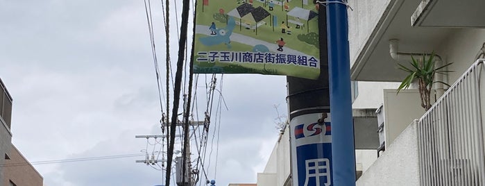 二子玉川商店街通り(大山道) is one of 大山道.