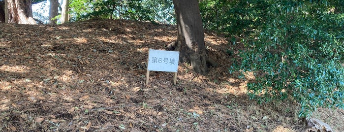 第6号墳 is one of 東日本の古墳 Acient Tombs in Eastern Japan.