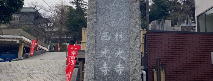 鴨居山 林光寺 is one of 武相寅年薬師25霊場.