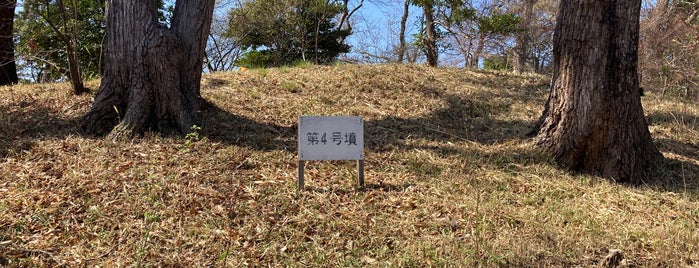 第4号墳 is one of 東日本の古墳 Acient Tombs in Eastern Japan.