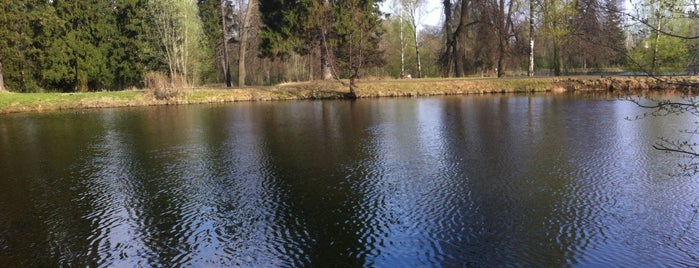 Шуваловский парк is one of Outdoors Spb.