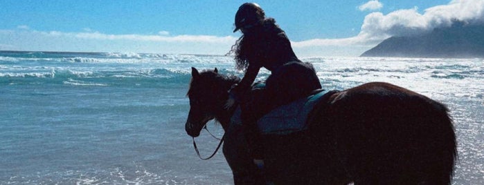 Horse riding on Noordhoek Beach is one of Cape Town.