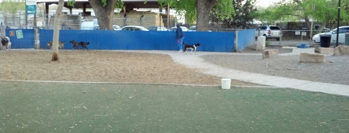 Triangle Dog Park is one of Locais curtidos por Brad.