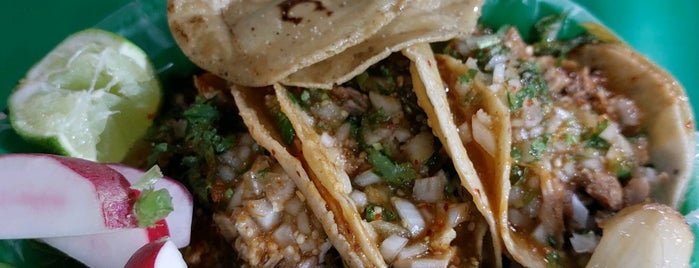 Tacos El Willy is one of food gdl.
