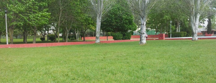 Parque de Vanicelos is one of Arrabida.