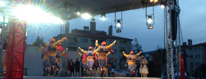 Gaziemir Festival Alanı is one of roma.