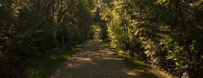 Rock Island Trail - Hartman Park Trailhead is one of Orte, die Crystal gefallen.