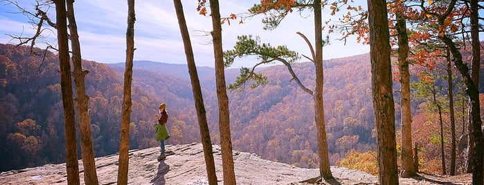 Hawksbill Crag/Whittaker Point is one of Crystal’s Liked Places.