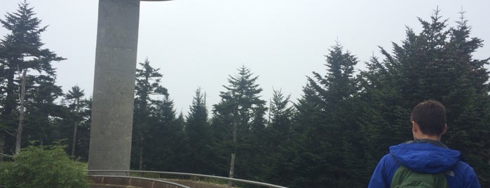 Clingmans Dome is one of Laurenさんのお気に入りスポット.