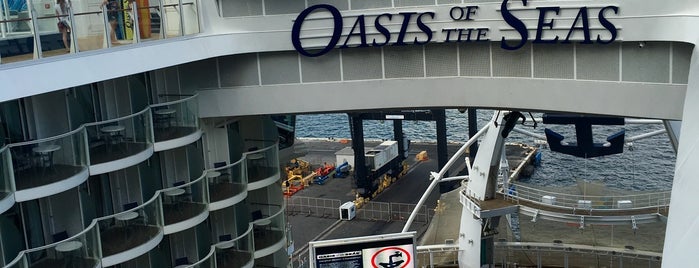 Oasis Of The Seas is one of Lugares favoritos de Lauren.
