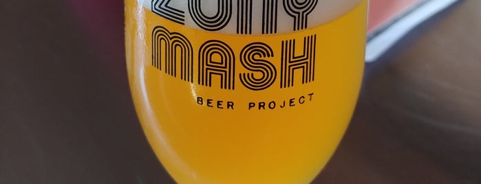 Zony Mash Beer Project is one of Northern Gulf Coast Breweries.