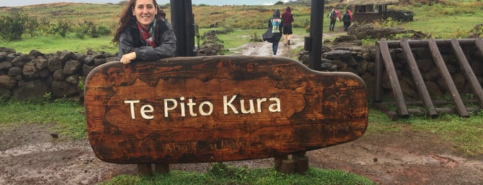 Ahu Te Pito Kura is one of สถานที่ที่ Pedro ถูกใจ.