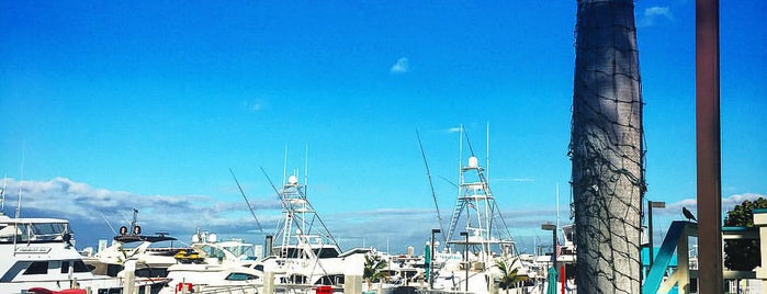 Miami Beach Marina is one of สถานที่ที่ Pablo ถูกใจ.