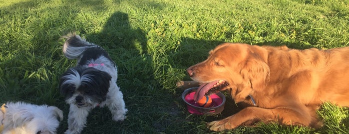 glencoe dog park is one of For K9 friends in SFValley+.