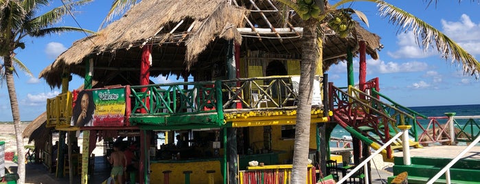 Coffe Paradise Bob Marley's is one of 🏝COZUMEL🐠.