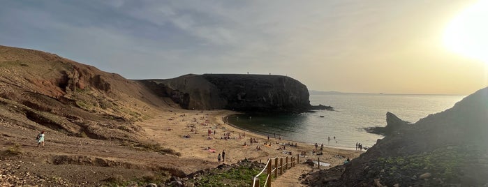 Lanzarote is one of lira.