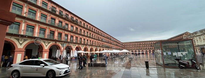 Plaza de la Corredera is one of Noche Blanca del Flamenco.