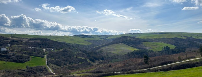 Autogrill Calaggio Nord is one of liibra.