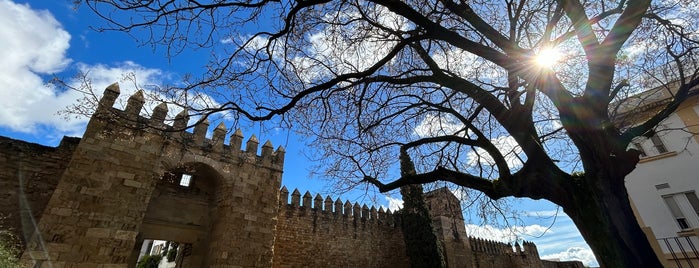 Puerta de Almodóvar is one of Castles.