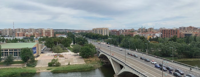 Hotel NH Ciudad de Zaragoza is one of canis.