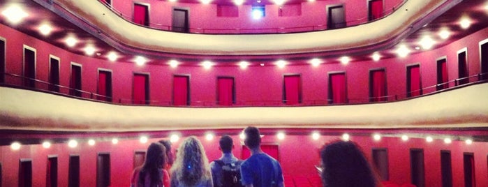 Teatre Principal is one of PilarPerezBcn’s Liked Places.