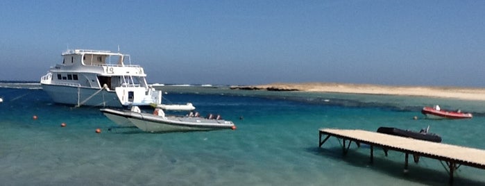 Marsa Nakari Village is one of Marsa Alam .. The Pure Nature.