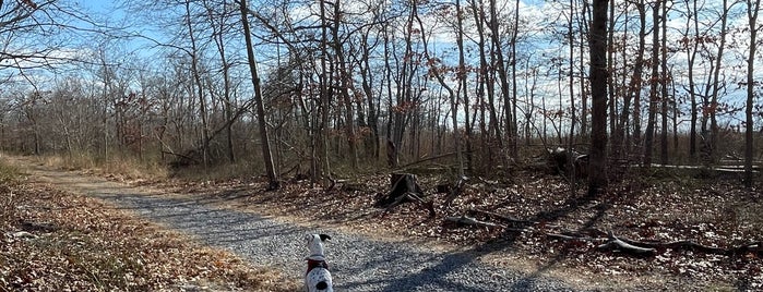 Wertheim National Wildlife Refuge is one of Long Island Outdoors.