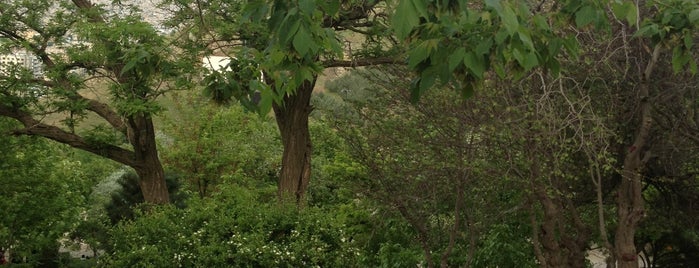 Shiyan Forest Park | پارک جنگلی شیان is one of Mohsen'in Beğendiği Mekanlar.