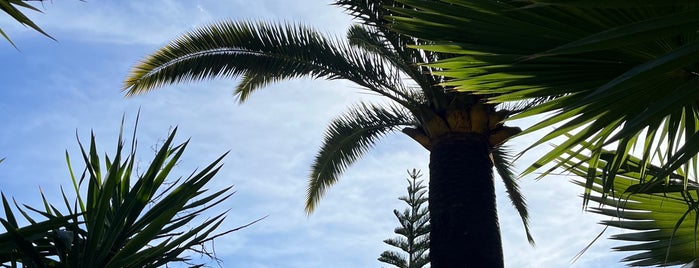 Jardin Botanique Exotique du Val Rahmeh is one of Menton.