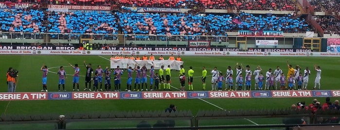 Stadio Cibali "Angelo Massimino" is one of Lega Italia Serie A TIM Stadium (Season 2013-2014).