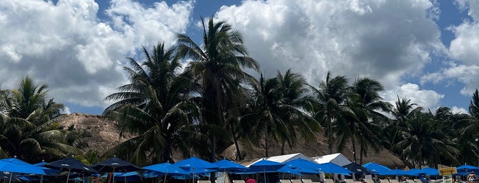 San francisco Beach Club is one of Cozumel, QR.