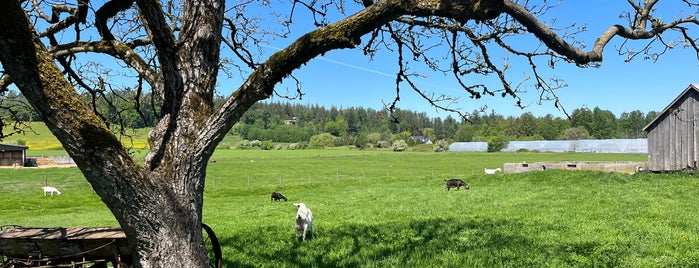 Milner Valley Cheese is one of Langley Circle Farm Tour.