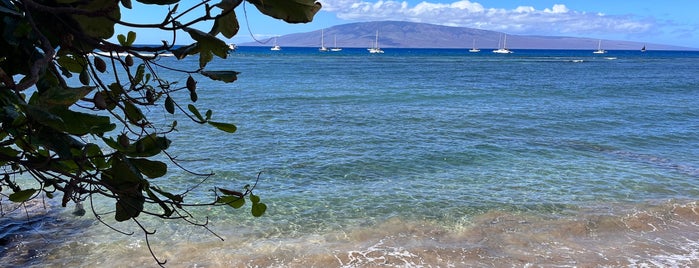 Old Lahaina Town is one of Maui.
