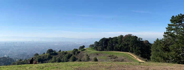 Panoramic Way is one of Berkeley's Best.